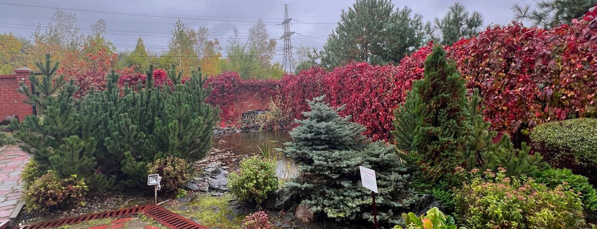 Гостиница Сокольники, Хабаровск гостиницы, забронировать гостиницу номер, гостиницы рядом (возле) с аэропортом(а) Хабаровск, отзывы о гостиницах, отели, гостиницы Хабаровск эконом класса, сауны Хабаровска, Отель Сокольники